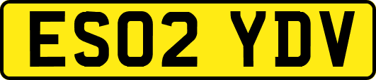 ES02YDV