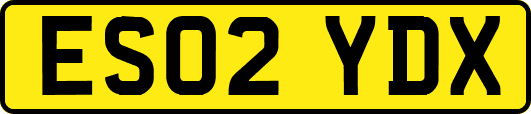 ES02YDX