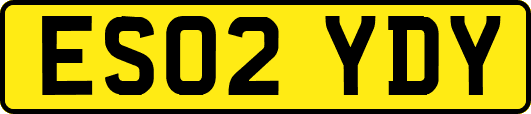 ES02YDY