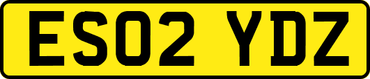 ES02YDZ
