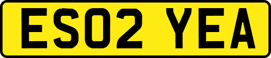 ES02YEA
