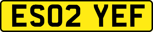 ES02YEF