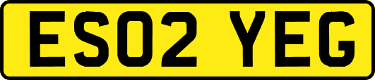 ES02YEG