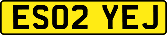 ES02YEJ