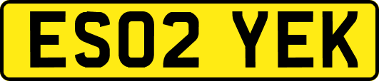 ES02YEK