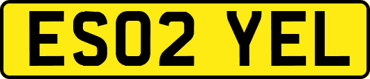 ES02YEL