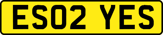 ES02YES