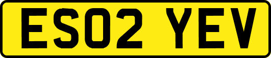 ES02YEV