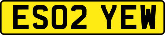 ES02YEW
