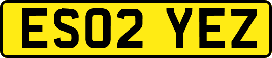 ES02YEZ