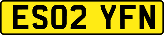 ES02YFN