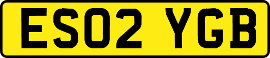 ES02YGB