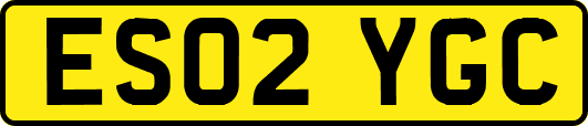 ES02YGC