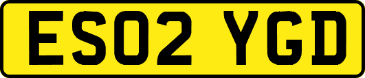 ES02YGD