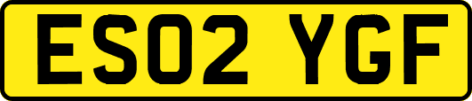 ES02YGF