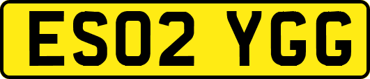ES02YGG