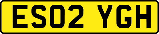 ES02YGH