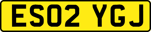 ES02YGJ