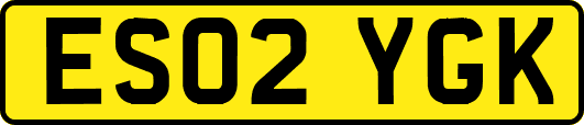 ES02YGK