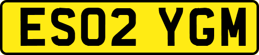 ES02YGM
