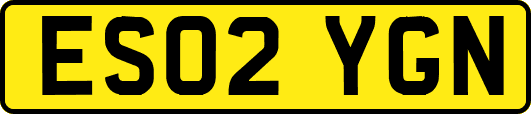 ES02YGN