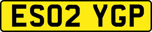 ES02YGP
