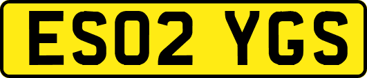ES02YGS