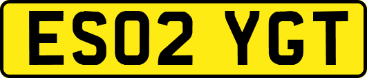ES02YGT