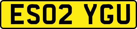 ES02YGU