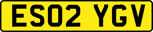 ES02YGV