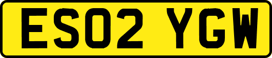 ES02YGW