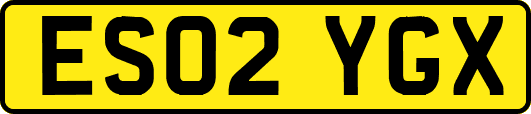 ES02YGX