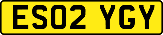 ES02YGY