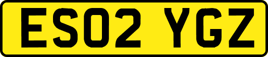 ES02YGZ