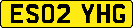 ES02YHG