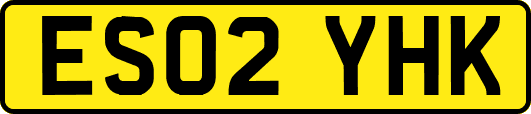 ES02YHK