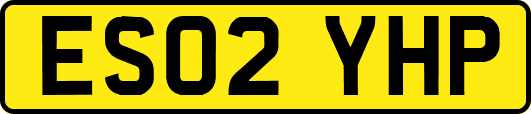 ES02YHP