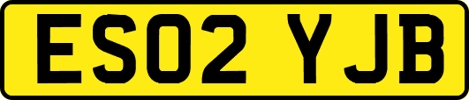ES02YJB