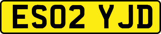ES02YJD