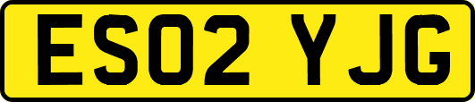ES02YJG