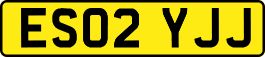 ES02YJJ