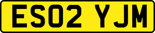 ES02YJM