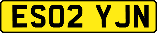 ES02YJN
