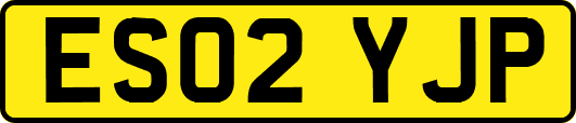 ES02YJP