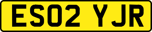 ES02YJR