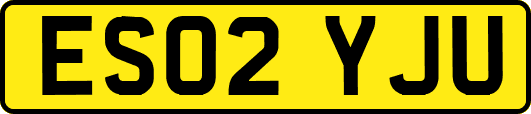 ES02YJU