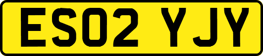 ES02YJY