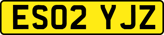 ES02YJZ