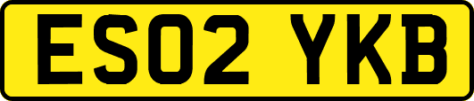 ES02YKB
