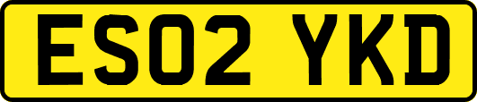 ES02YKD